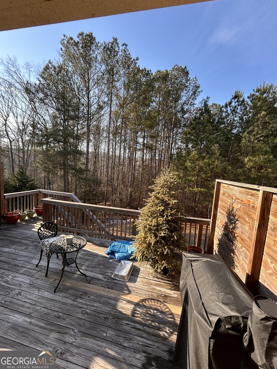 3863 Dragon Fly Lane Loganville - Photo 36