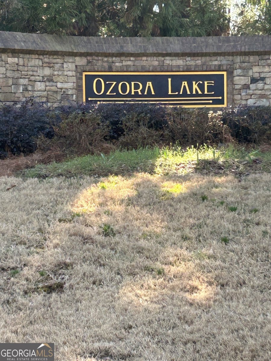 3863 Dragon Fly Lane Loganville - Photo 44