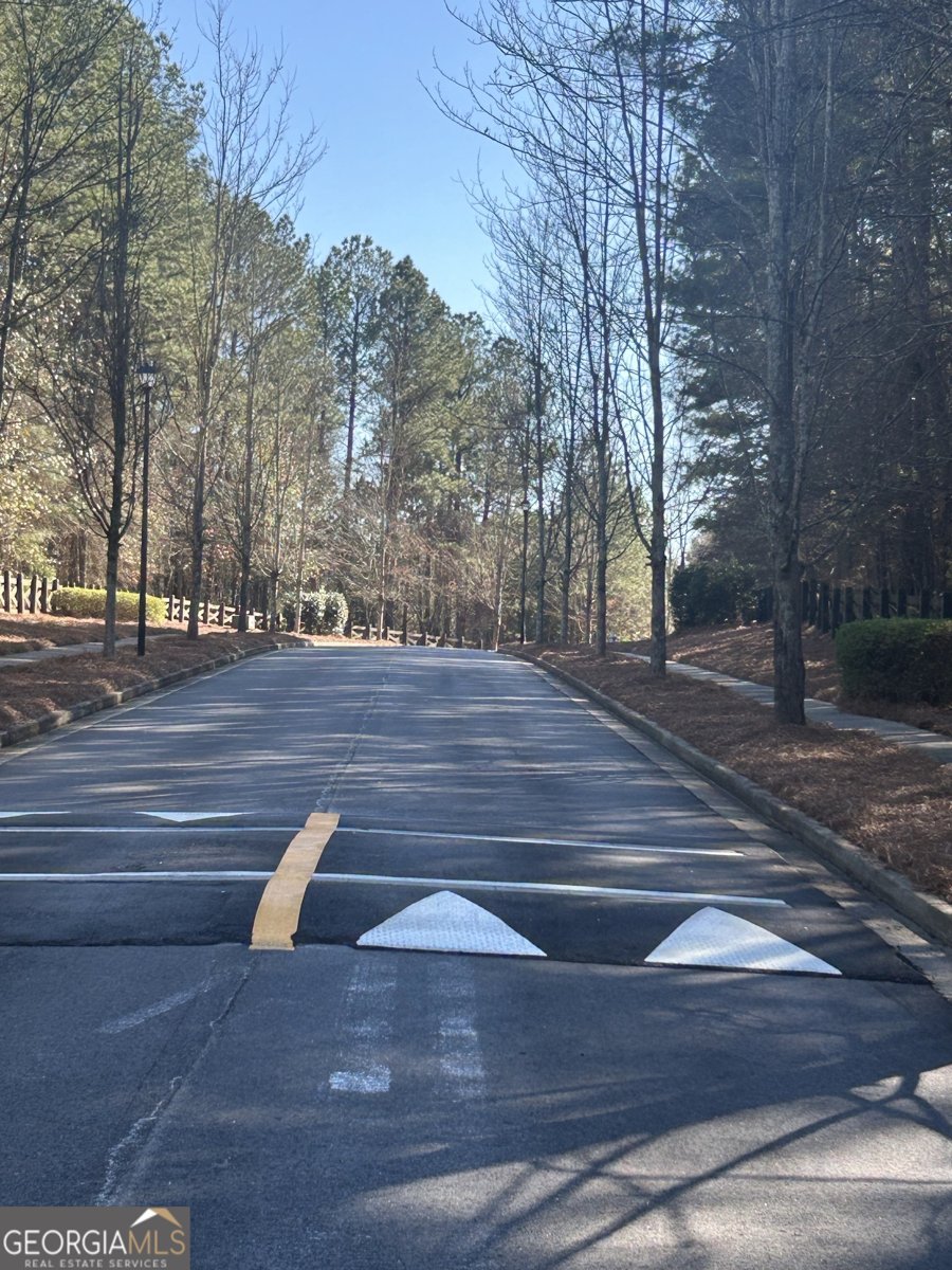 3863 Dragon Fly Lane Loganville - Photo 45