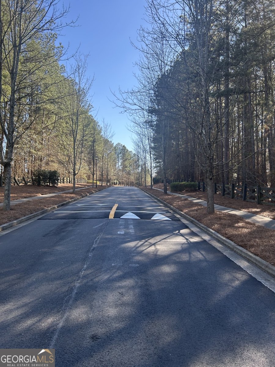 3863 Dragon Fly Lane Loganville - Photo 46