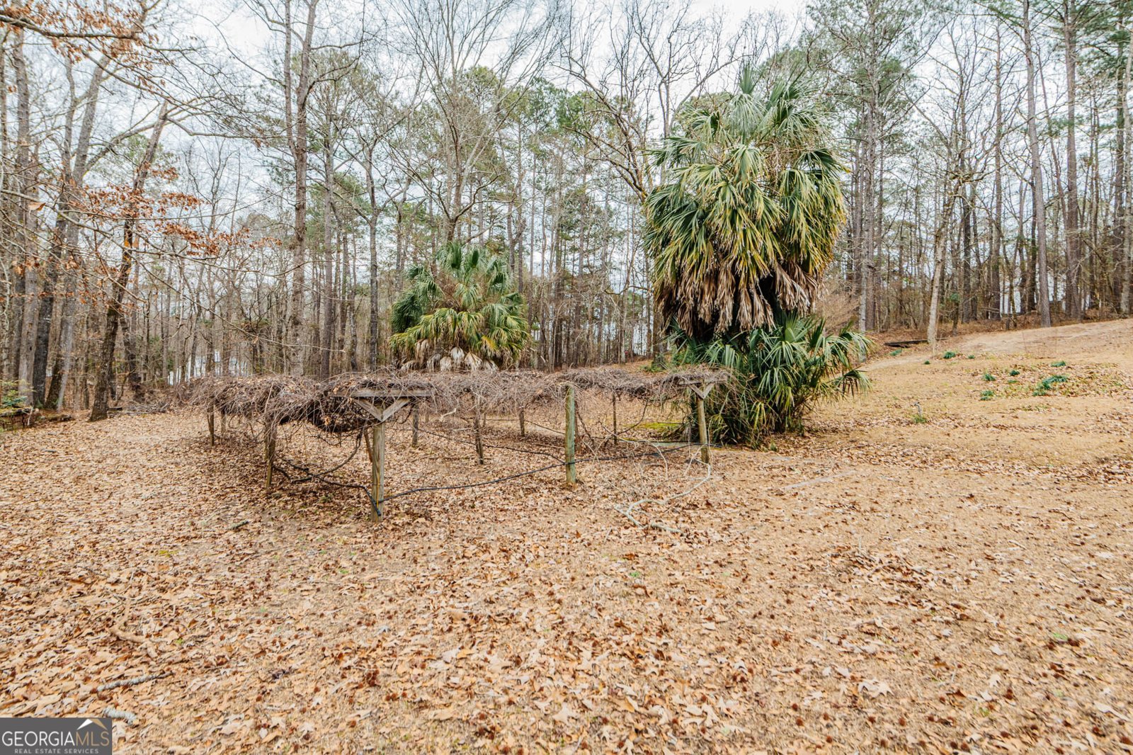 6137 Wesleyan Drive Macon - Photo 8