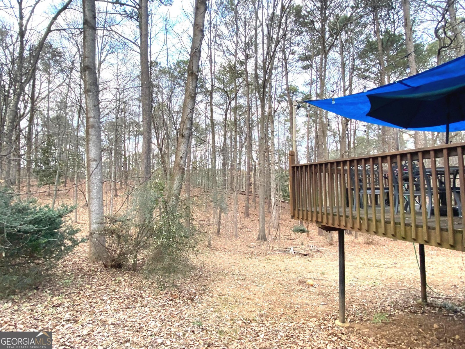 3493 Citrus Drive Duluth - Photo 10