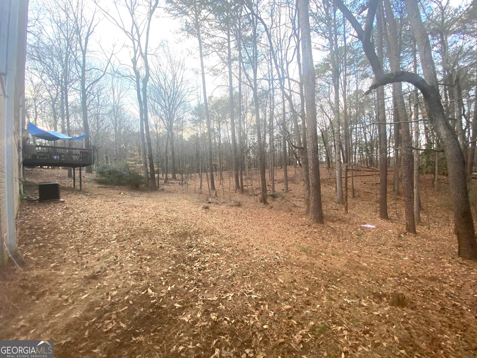 3493 Citrus Drive Duluth - Photo 13