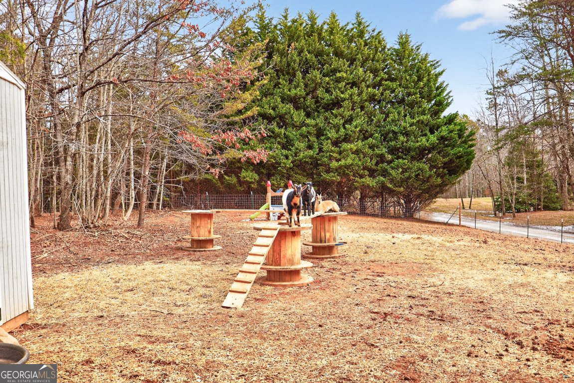 194 Bunny Trail Clarkesville - Photo 40