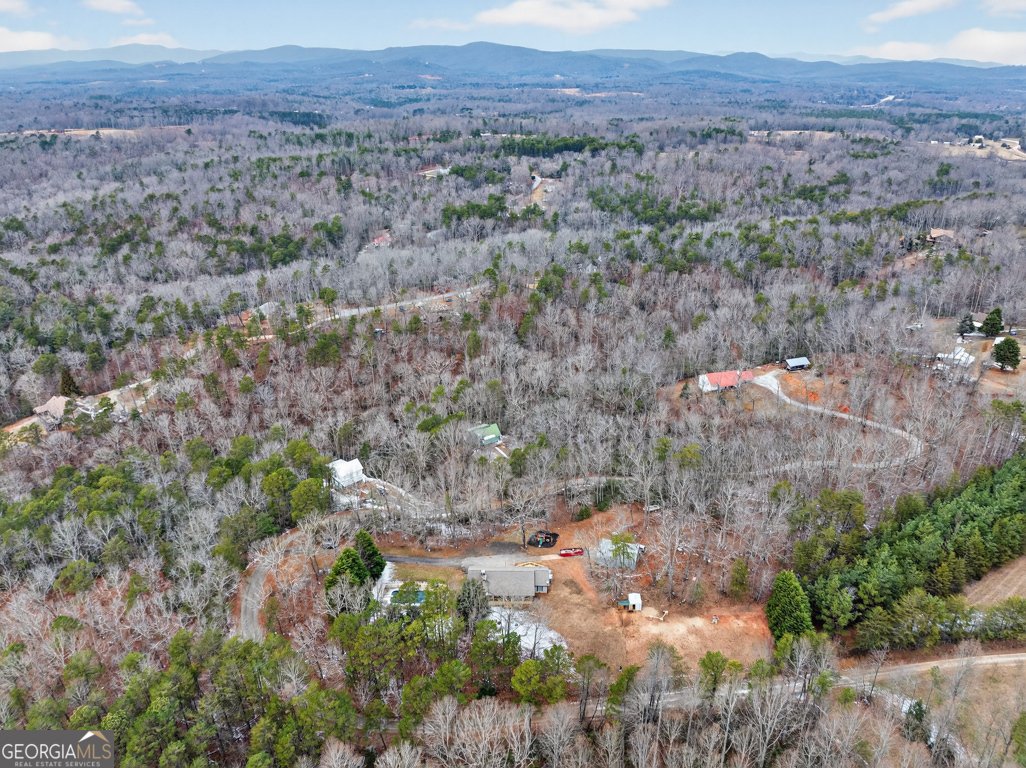 194 Bunny Trail Clarkesville - Photo 56