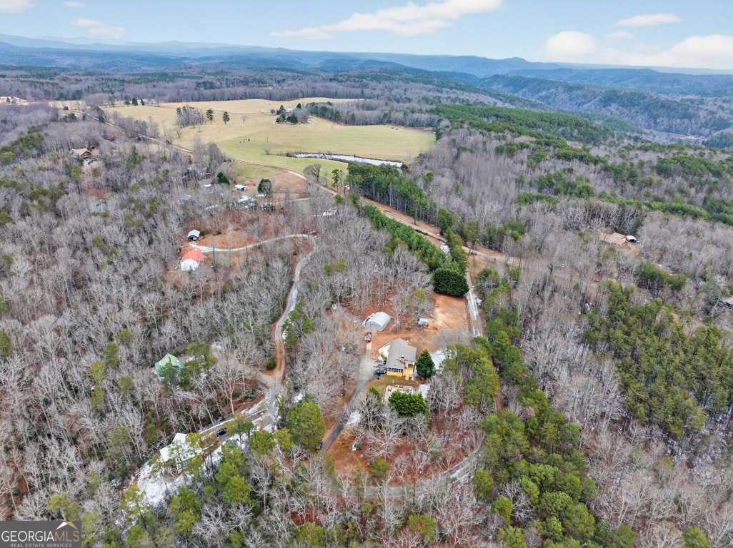 194 Bunny Trail Clarkesville - Photo 57