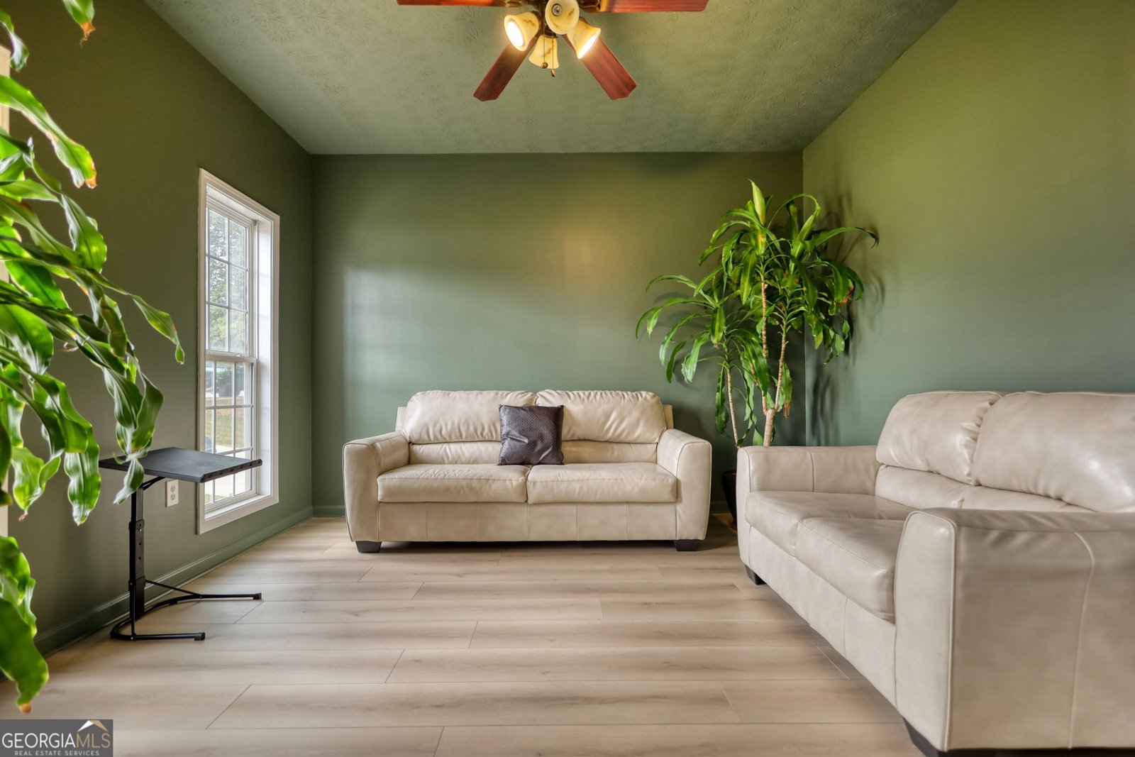 121 Talon Place McDonough - Photo 17