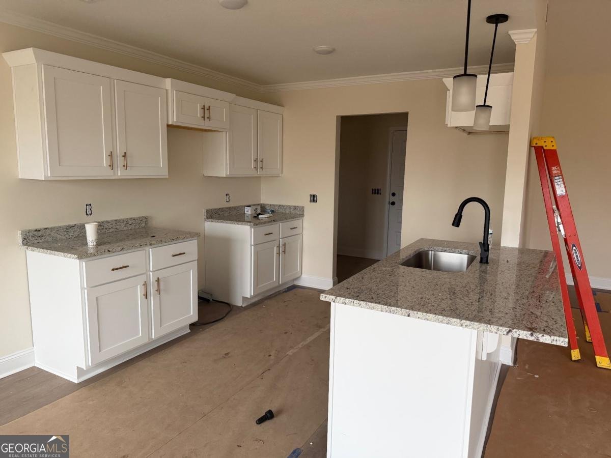 0 Spurweed Lane Statesboro - Photo 6