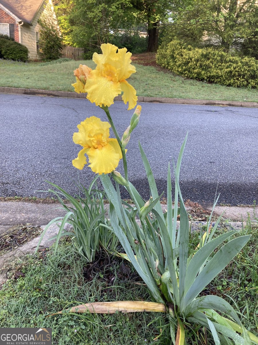 366 Silverthorn Drive Marietta - Photo 91