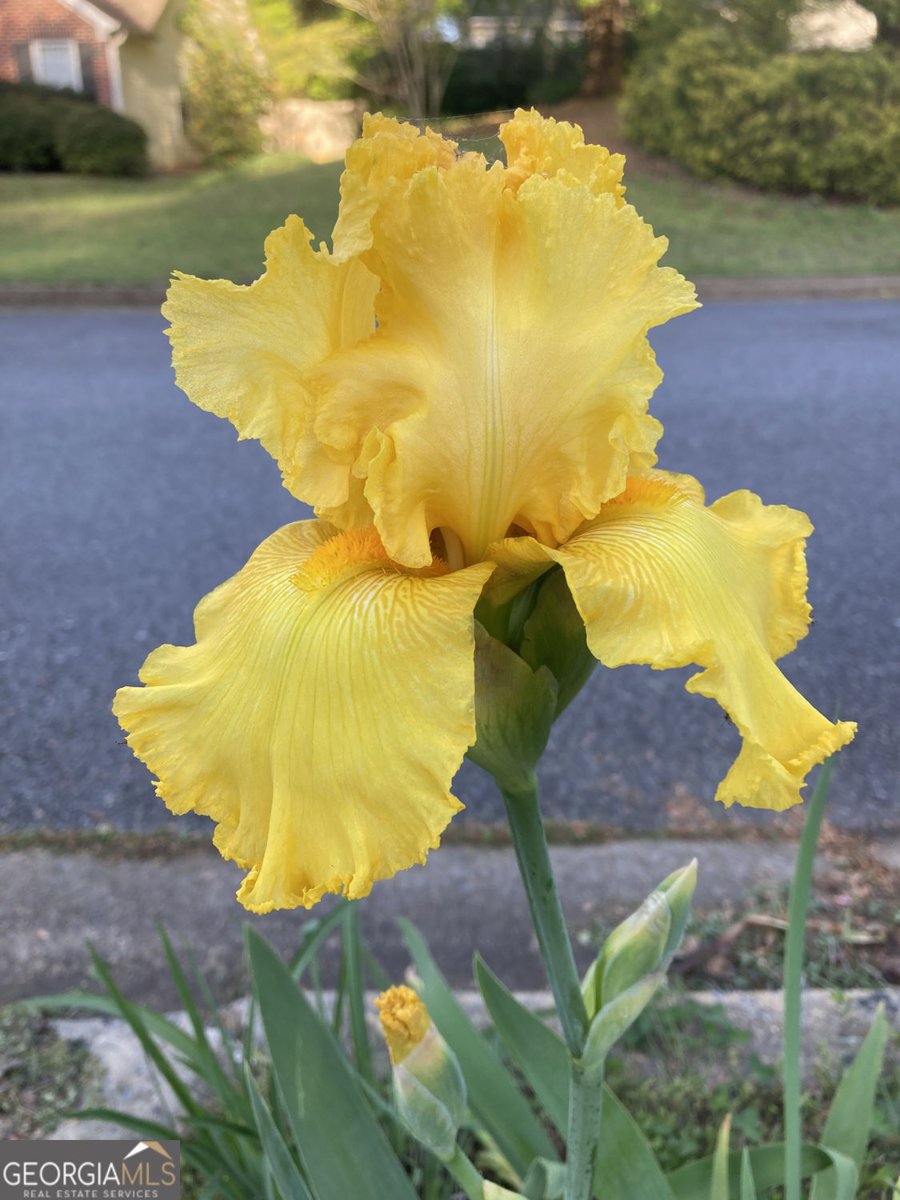 366 Silverthorn Drive Marietta - Photo 92