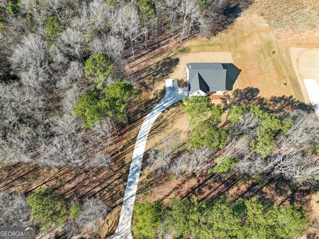 51 Oak Road Locust Grove - Photo 44