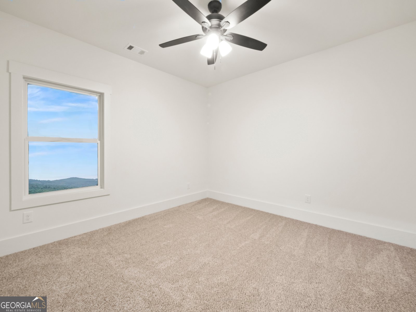 323 Sweetgrass Drive Demorest - Photo 30