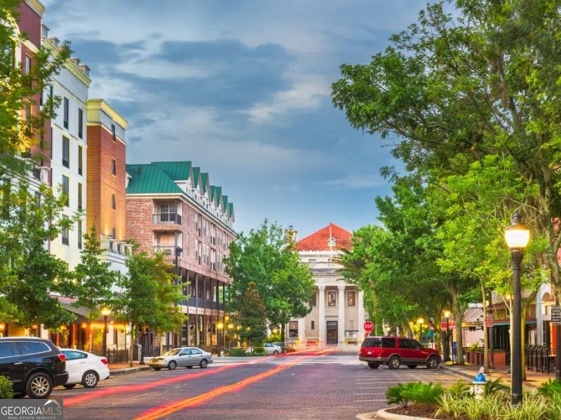 323 Sweetgrass Drive Demorest - Photo 48