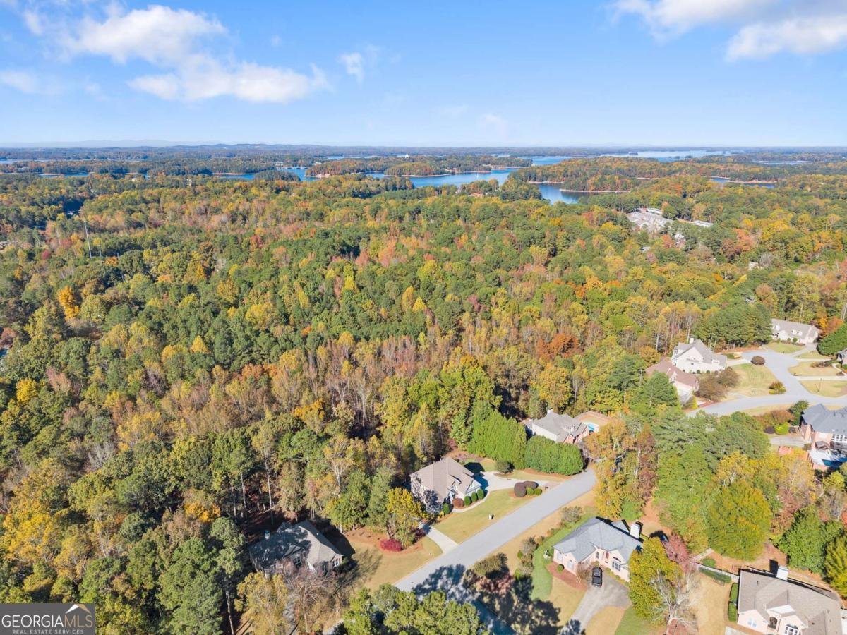 1930 Marina Way Buford - Photo 48