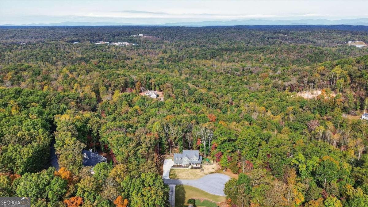 55 Flat Rock Pointe Dahlonega - Photo 26