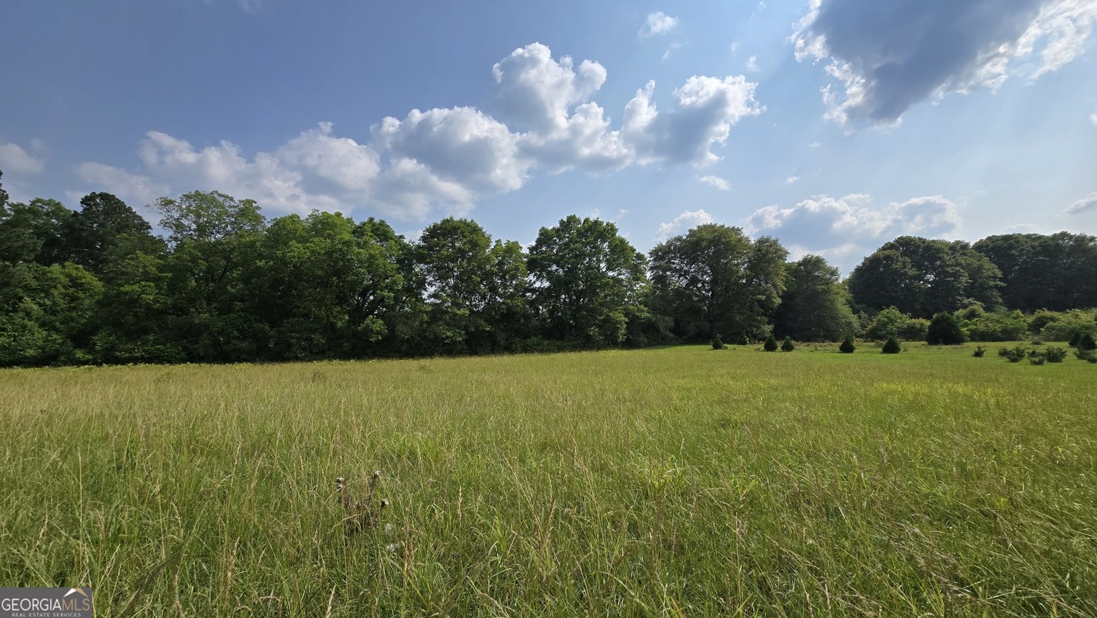 2037 Jeff Davis Road Thomaston - Photo 29