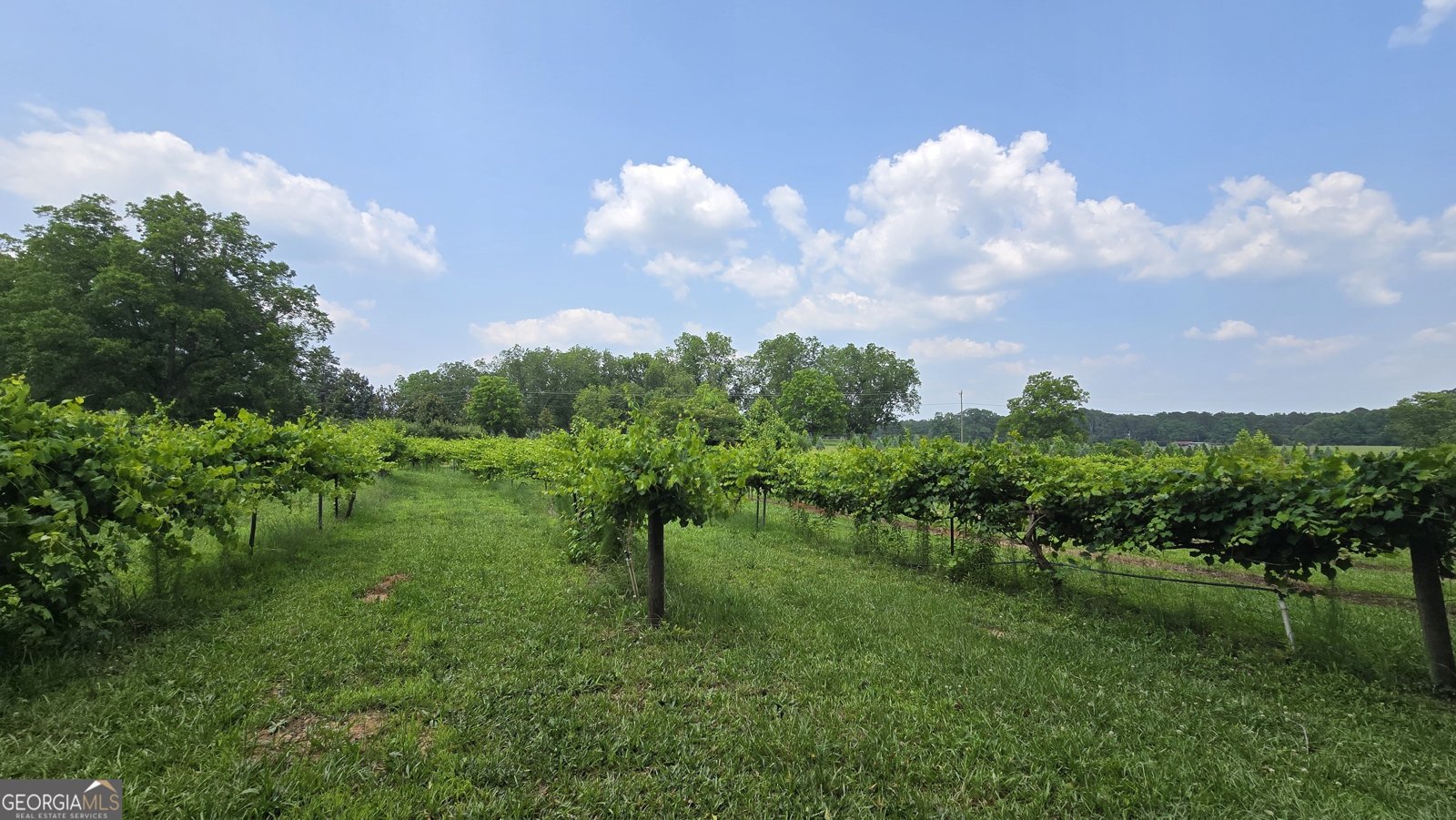 2037 Jeff Davis Road Thomaston - Photo 31