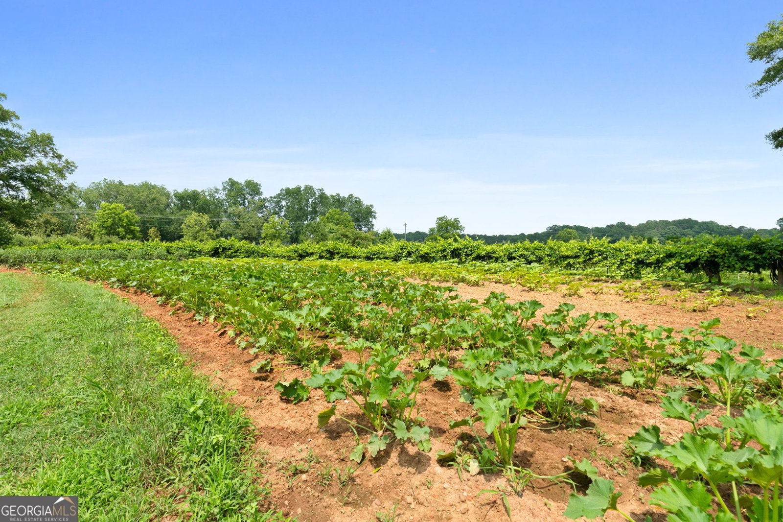 2037 Jeff Davis Road Thomaston - Photo 33