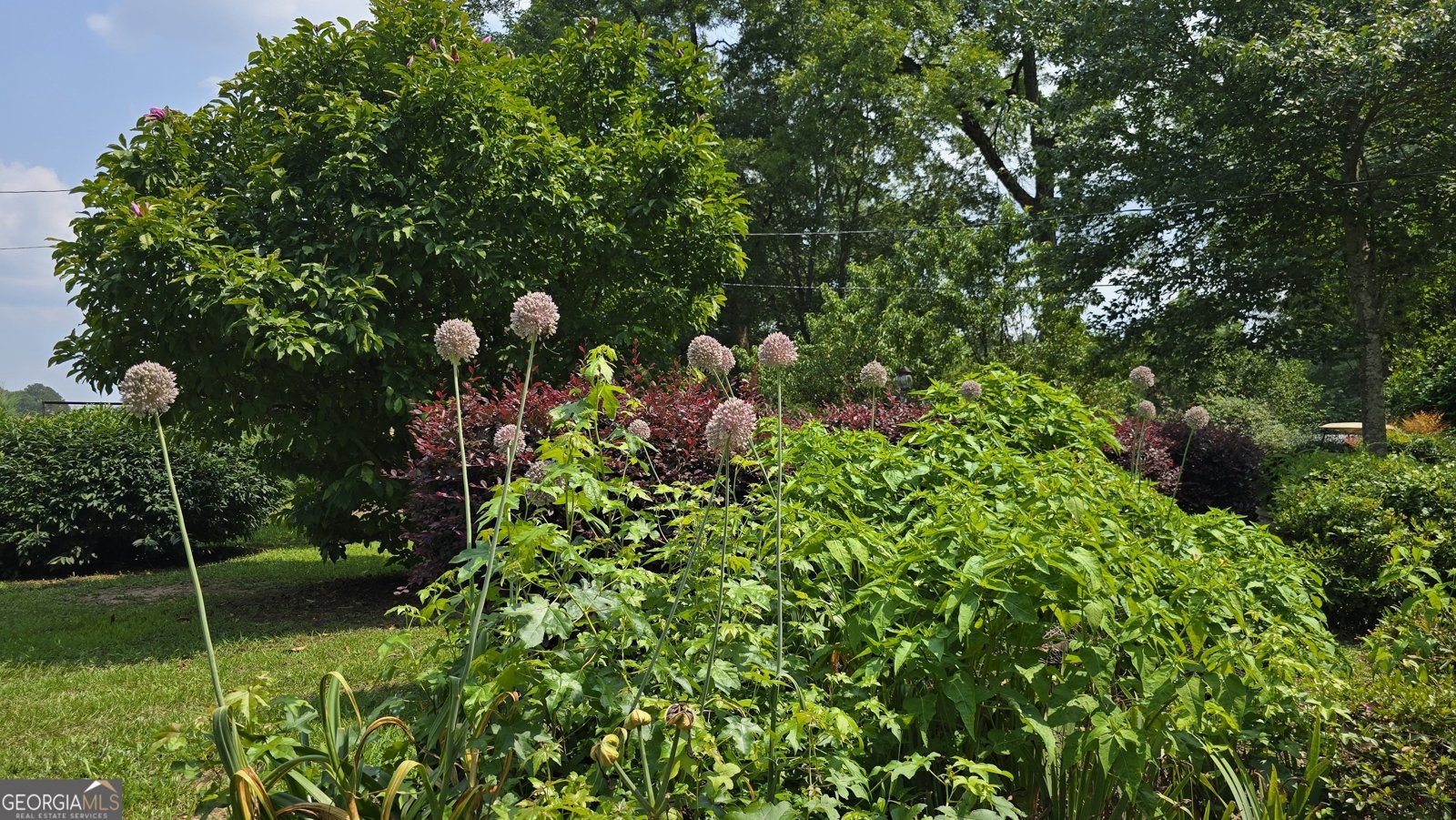 2037 Jeff Davis Road Thomaston - Photo 43