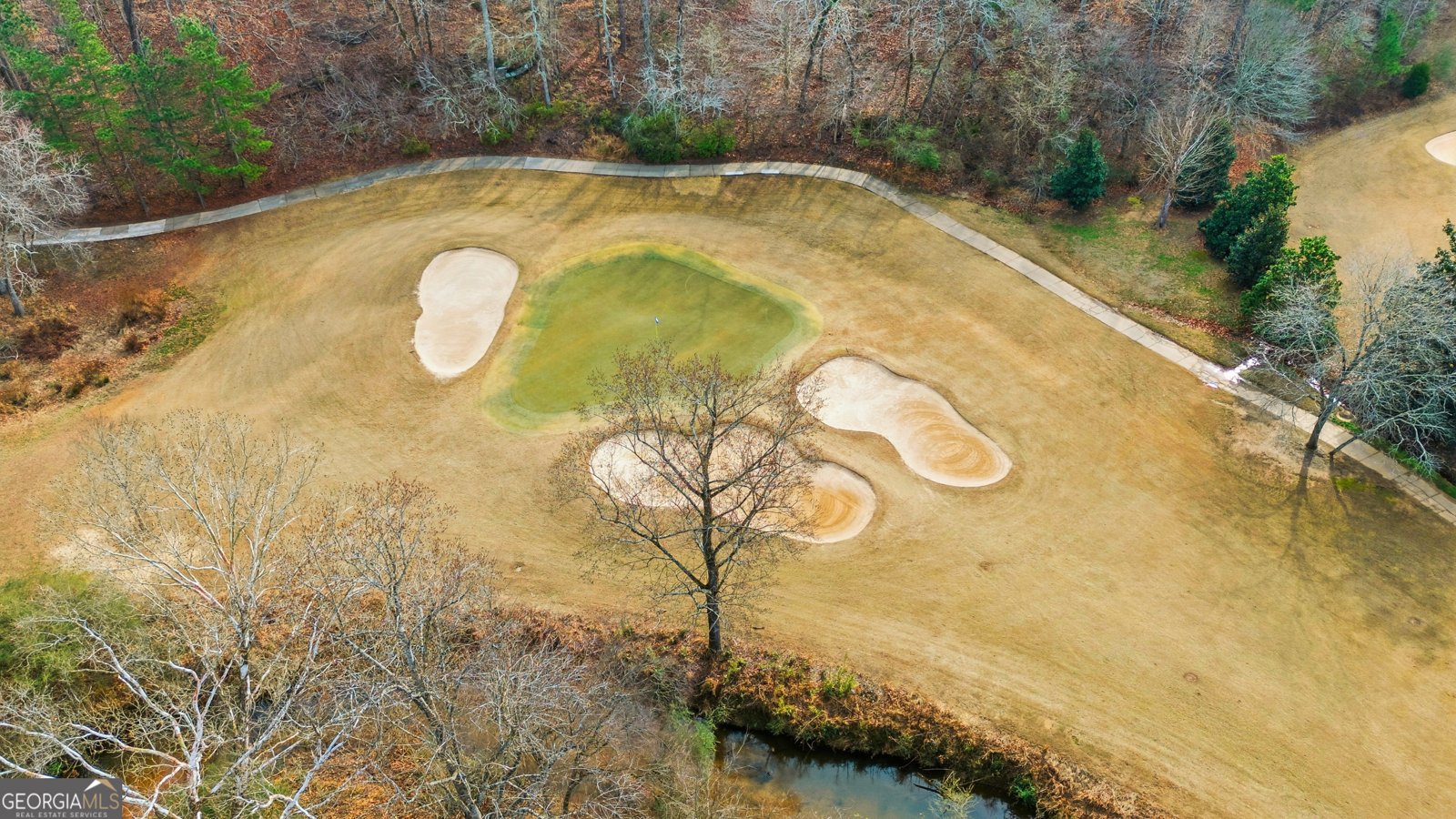 3644 Springwell Court Douglasville - Photo 74