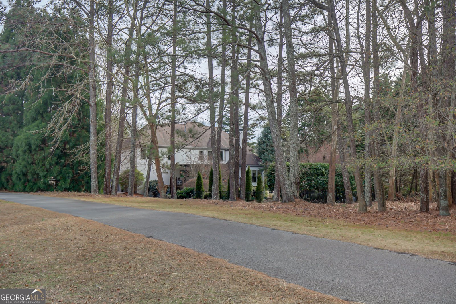 500 Tuxedo Lane Peachtree City - Photo 78