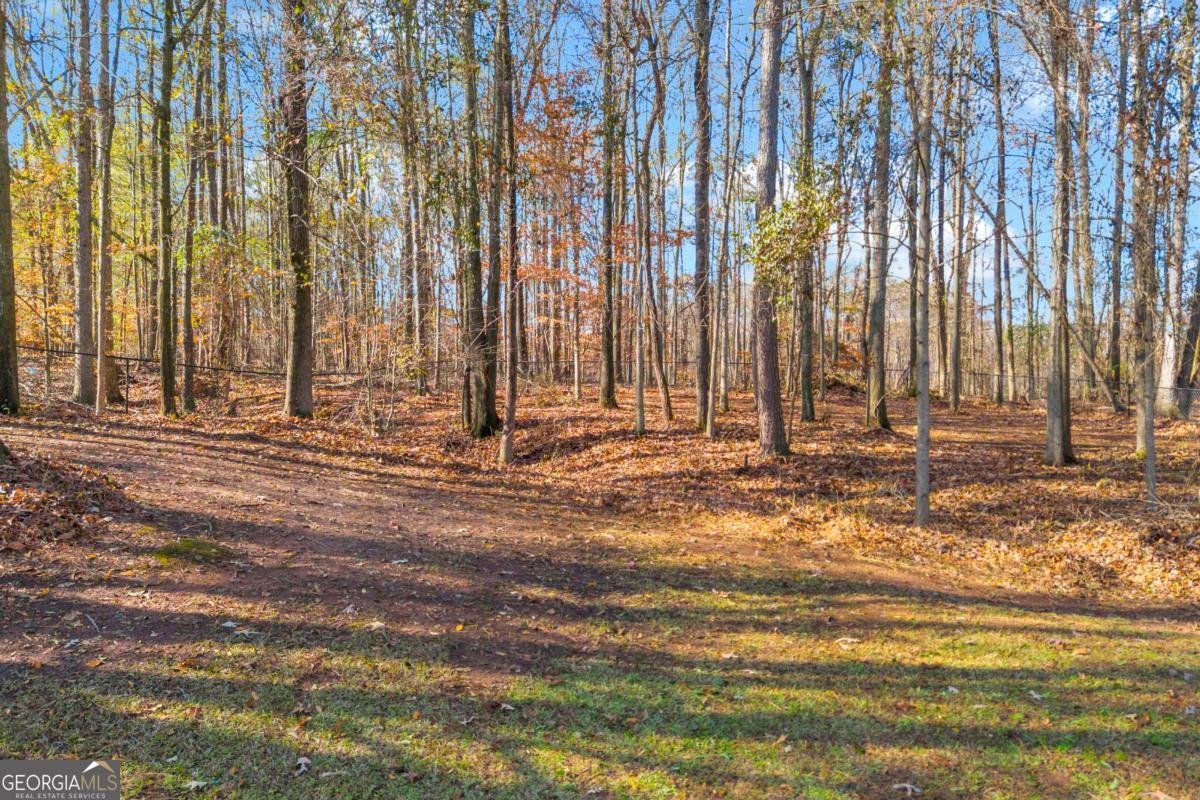 47 Chatham Court Jefferson - Photo 10