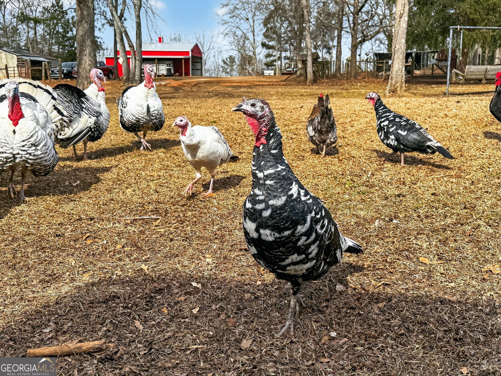 762 High Falls Park Road Barnesville - Photo 50