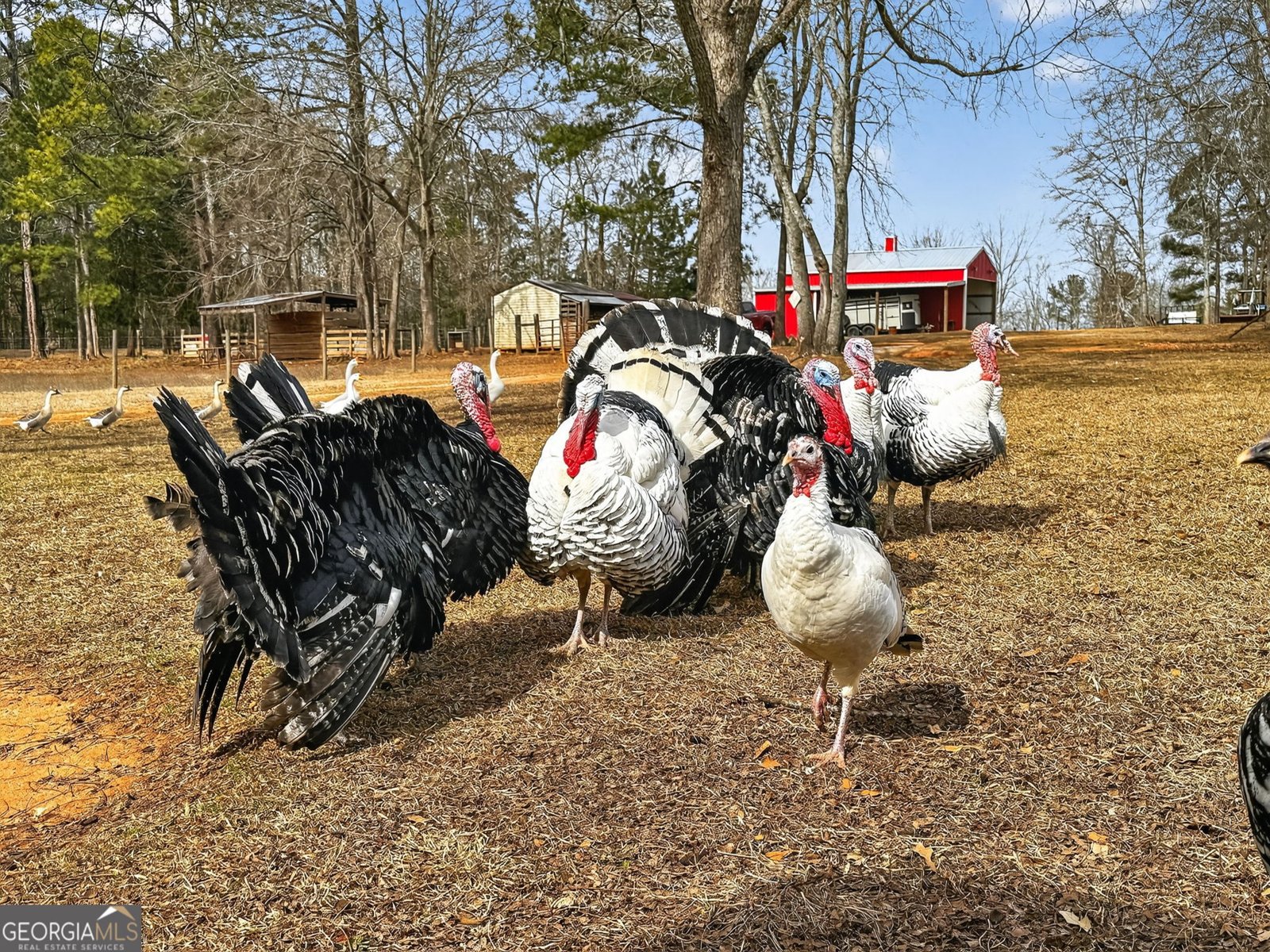 762 High Falls Park Road Barnesville - Photo 51