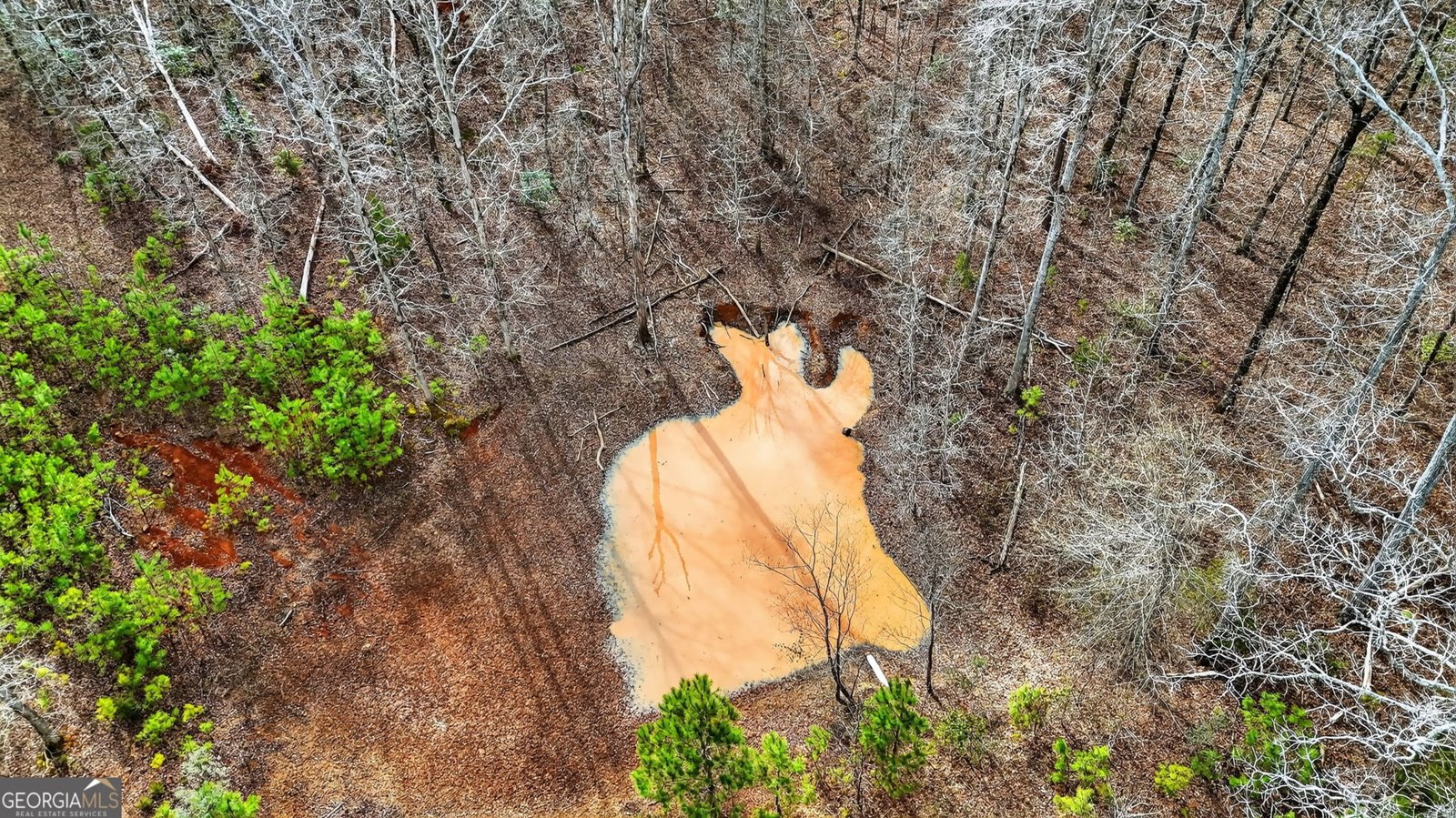 762 High Falls Park Road Barnesville - Photo 9