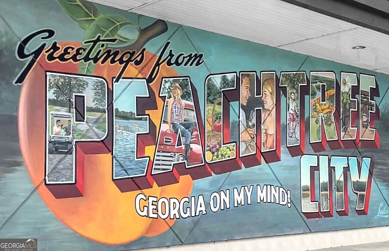 308 Dalston Way Peachtree City - Photo 57