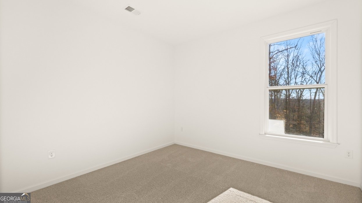 1601 LaceBark Elm Way Lawrenceville - Photo 22