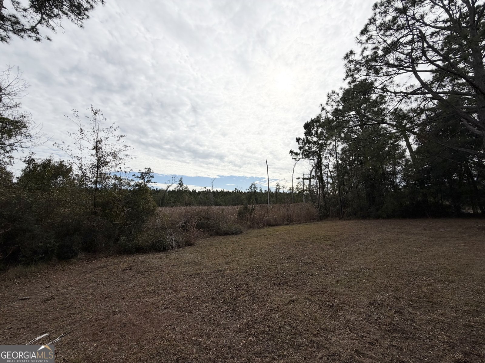 2124 Horseshoe Cove Road Waverly - Photo 26