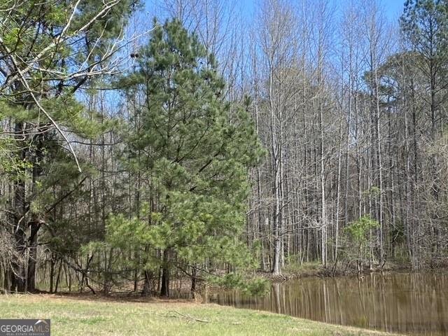 5519 Union Hill Road Alpharetta - Photo 17