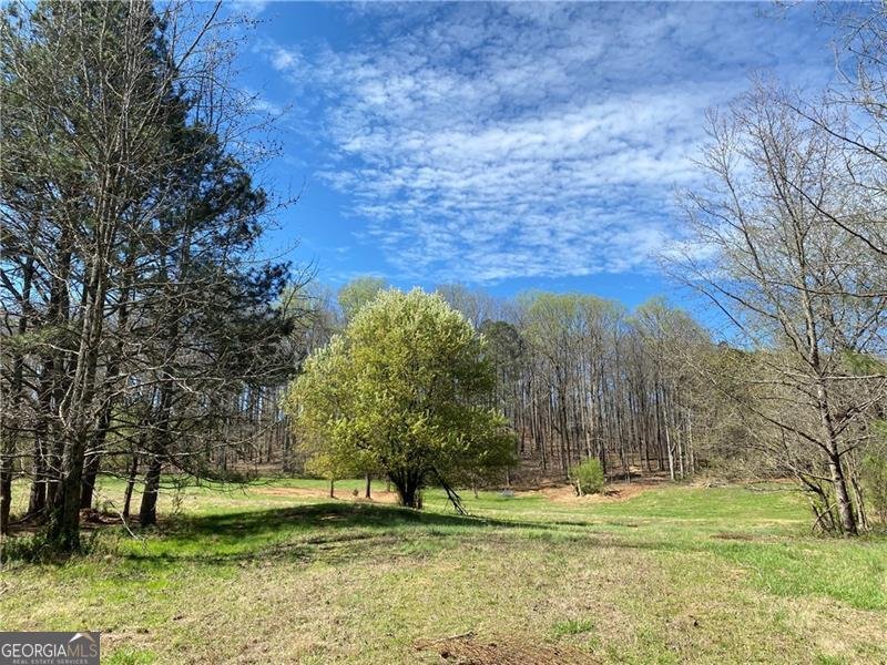 5519 Union Hill Road Alpharetta - Photo 18