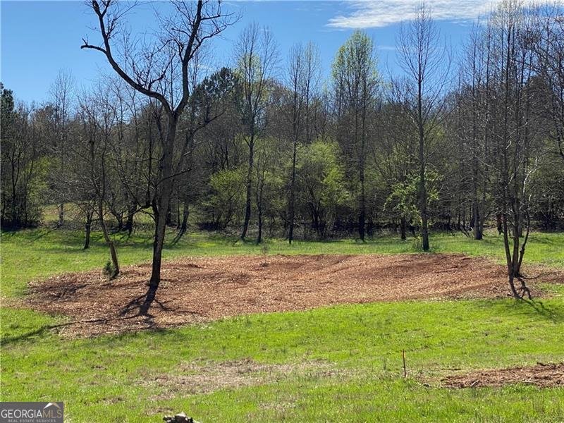 5519 Union Hill Road Alpharetta - Photo 19