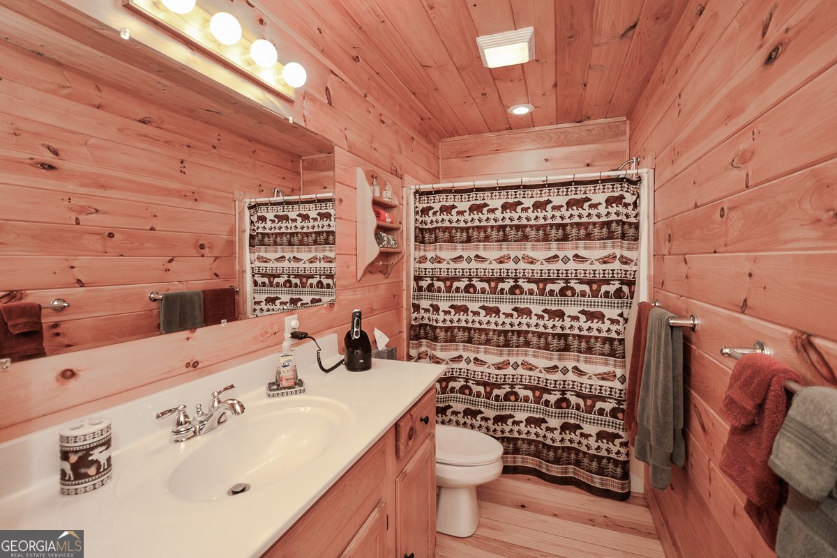 446 Pine Lane Mineral Bluff - Photo 19