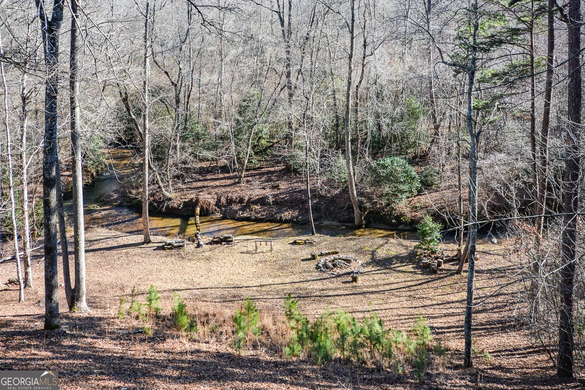 446 Pine Lane Mineral Bluff - Photo 35