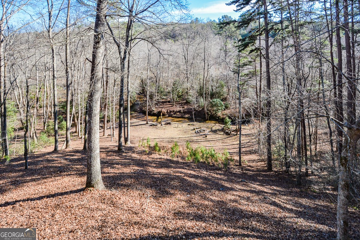 446 Pine Lane Mineral Bluff - Photo 38