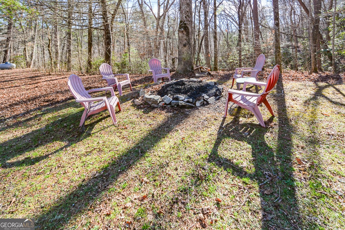 446 Pine Lane Mineral Bluff - Photo 41