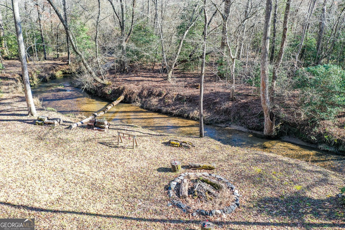 446 Pine Lane Mineral Bluff - Photo 43