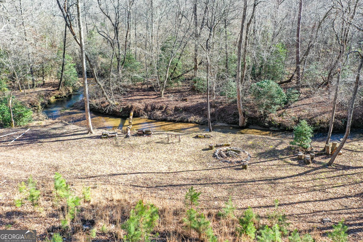 446 Pine Lane Mineral Bluff - Photo 44