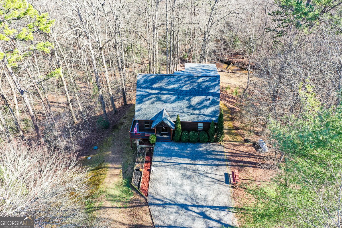 446 Pine Lane Mineral Bluff - Photo 45