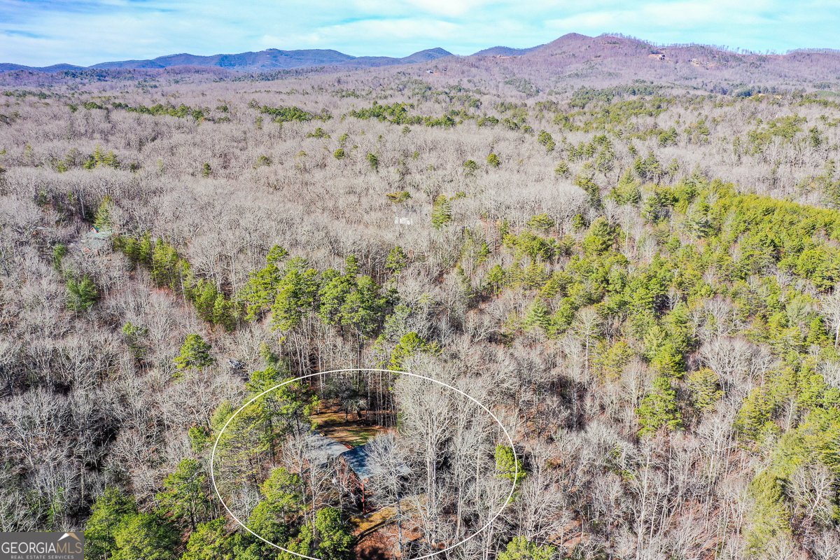 446 Pine Lane Mineral Bluff - Photo 47