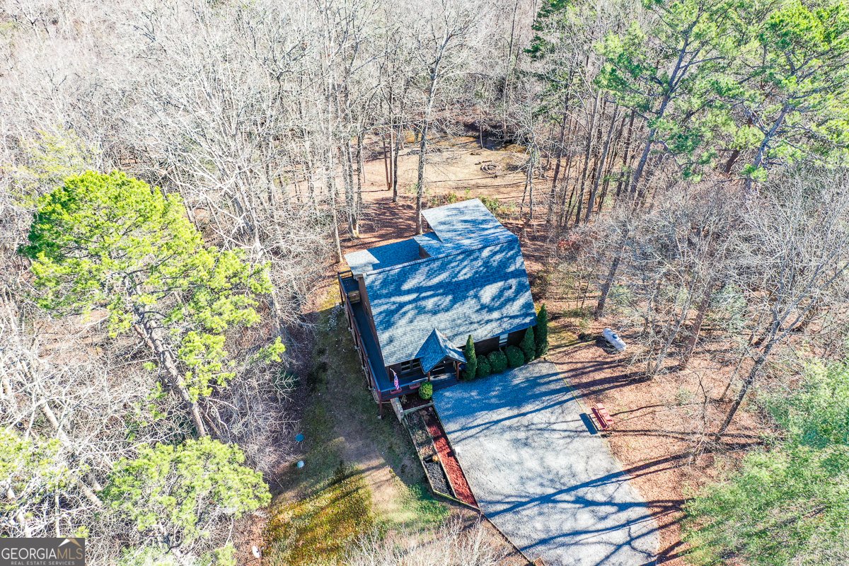 446 Pine Lane Mineral Bluff - Photo 48