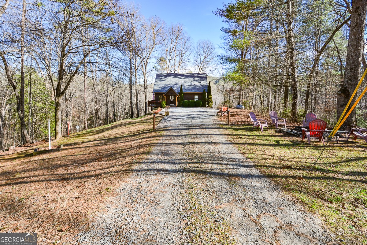 446 Pine Lane Mineral Bluff - Photo 50