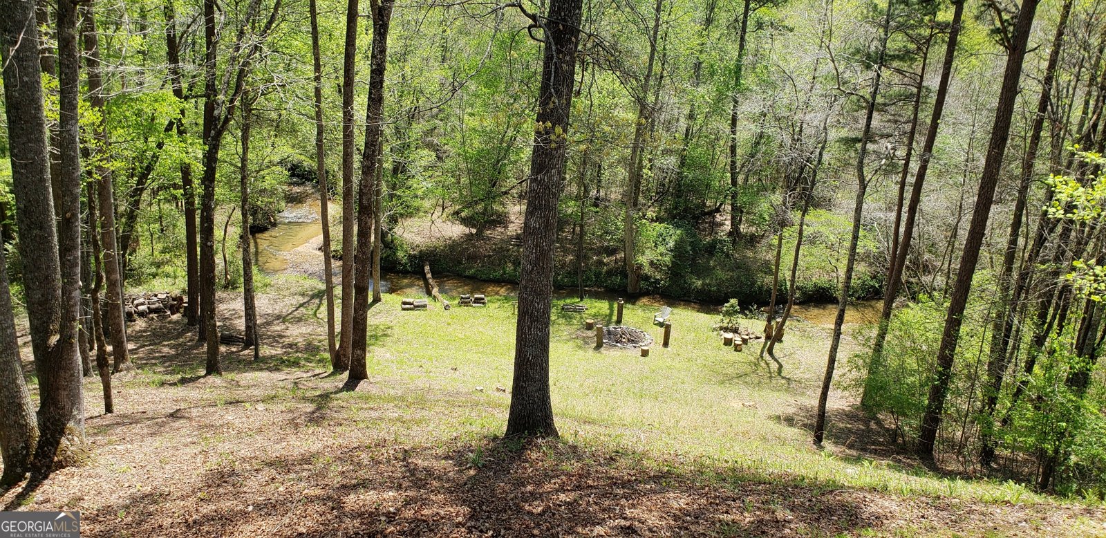 446 Pine Lane Mineral Bluff - Photo 52