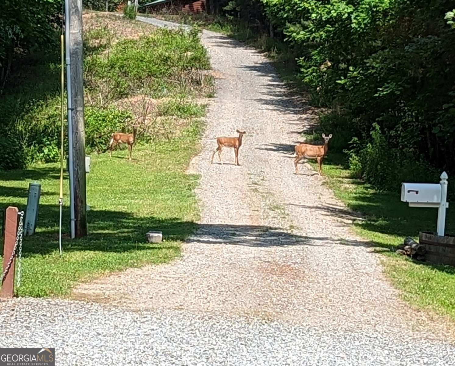446 Pine Lane Mineral Bluff - Photo 53