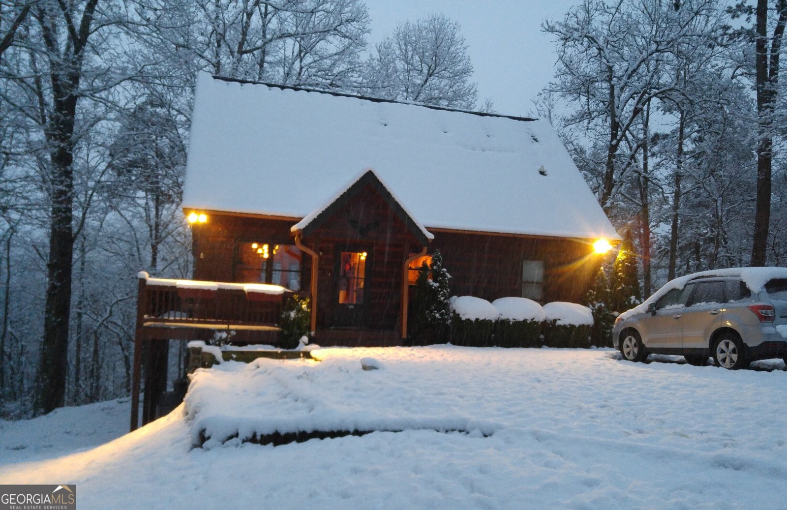 446 Pine Lane Mineral Bluff - Photo 56