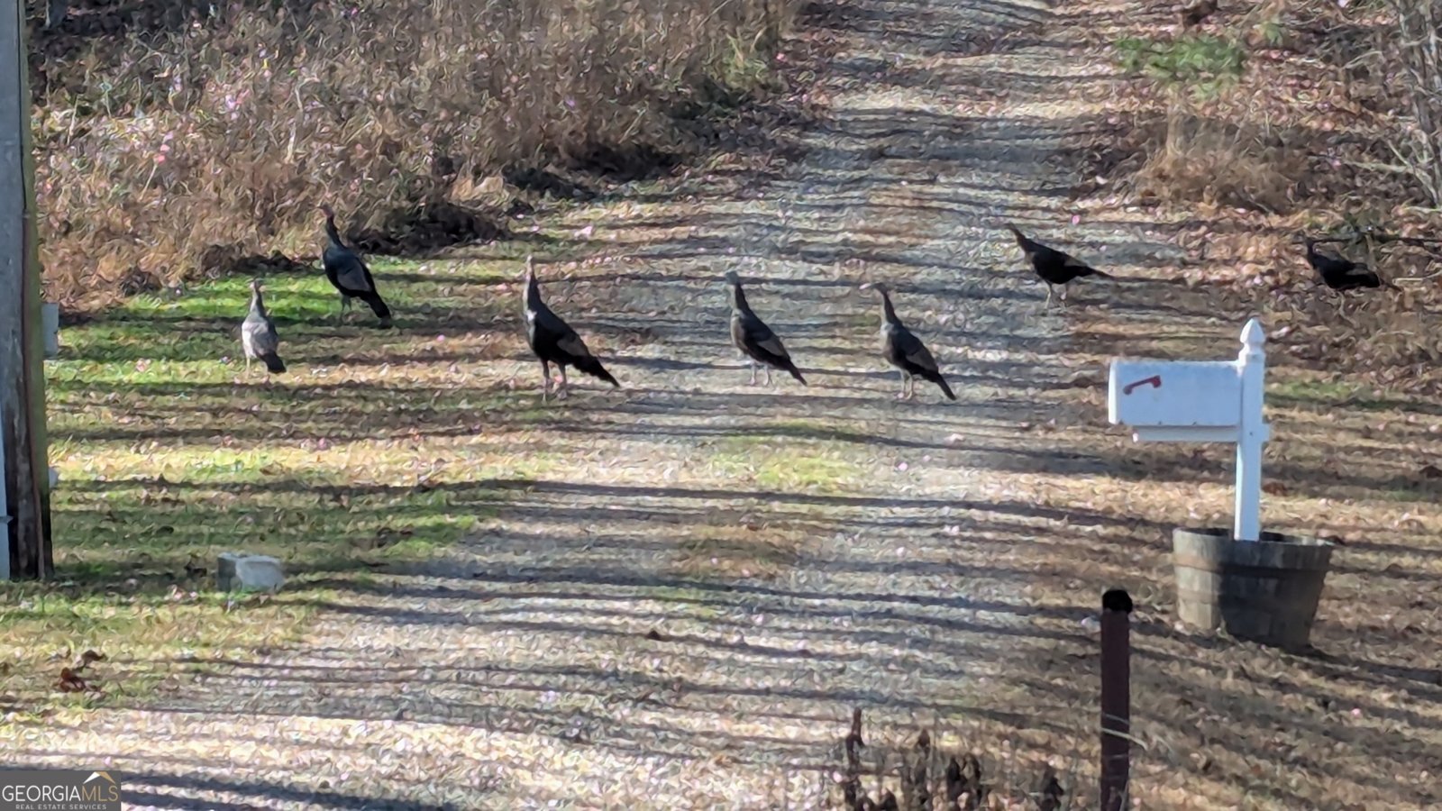 446 Pine Lane Mineral Bluff - Photo 57