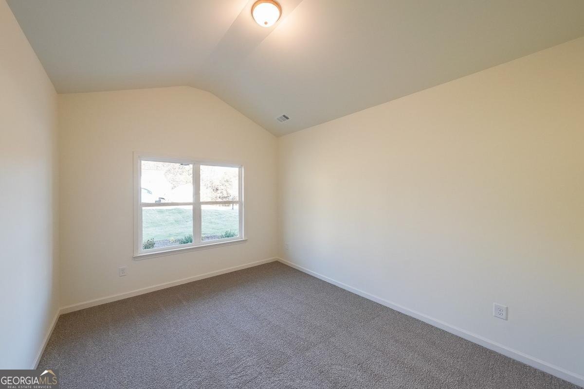 109 Odgers Trail Dawsonville - Photo 29